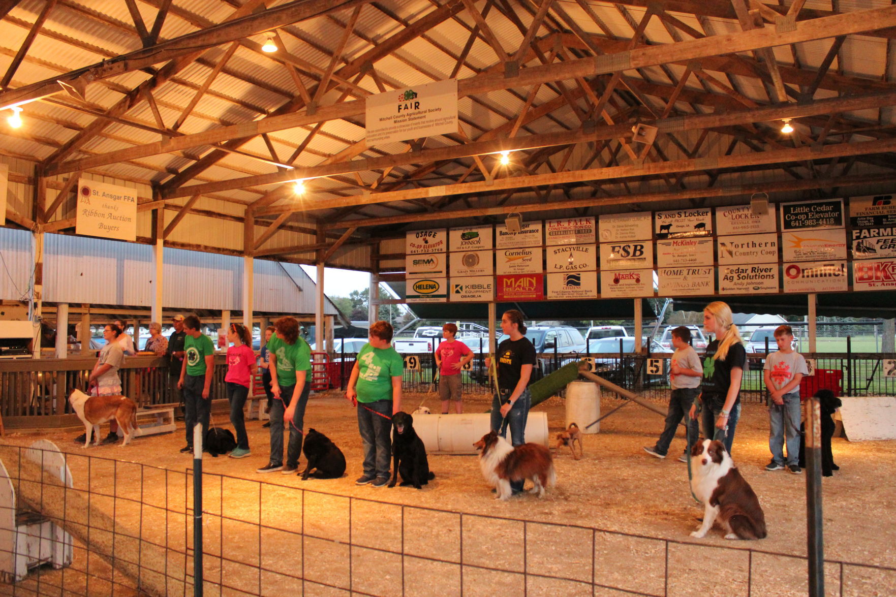 Dog Show 1